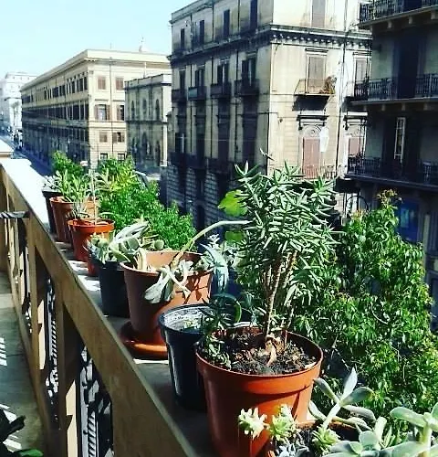 Palazzo Savona Pensjonat Palermo